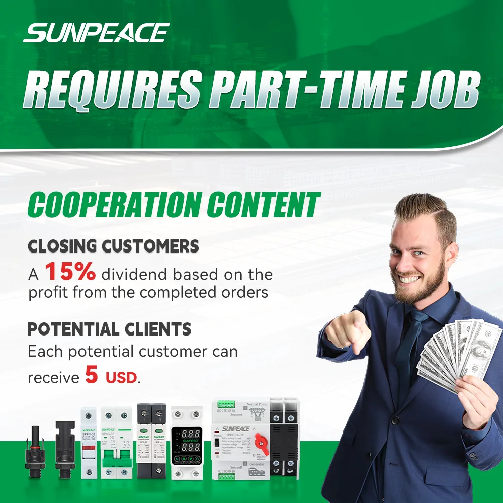 SUNPEACE Global Part-Time Job Recruitment
